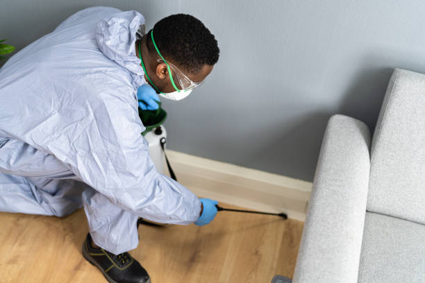 Best Residential Pest Control  in Woodworth, LA